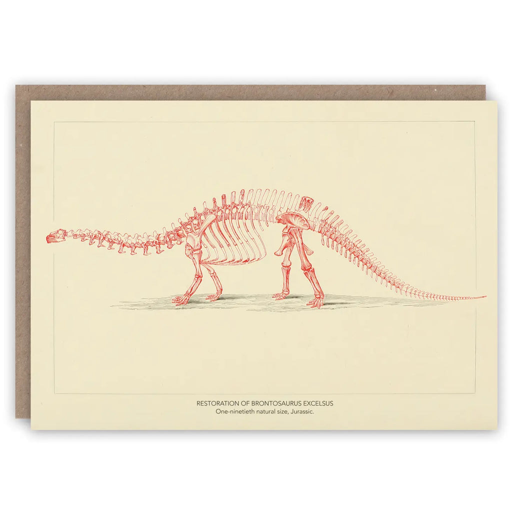 Brontosaurus Greeting Card