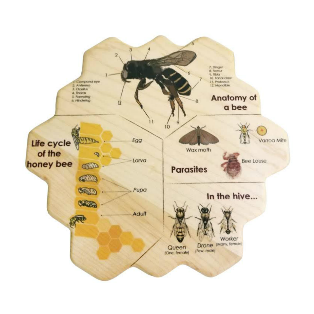 Wooden Bee Puzzle