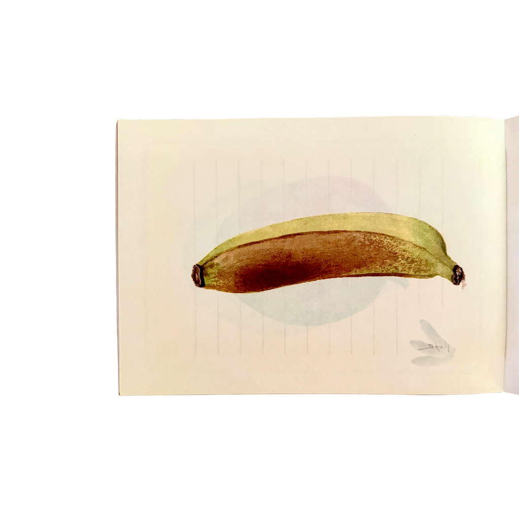 100 Writing and Crafting Papers of Fruit