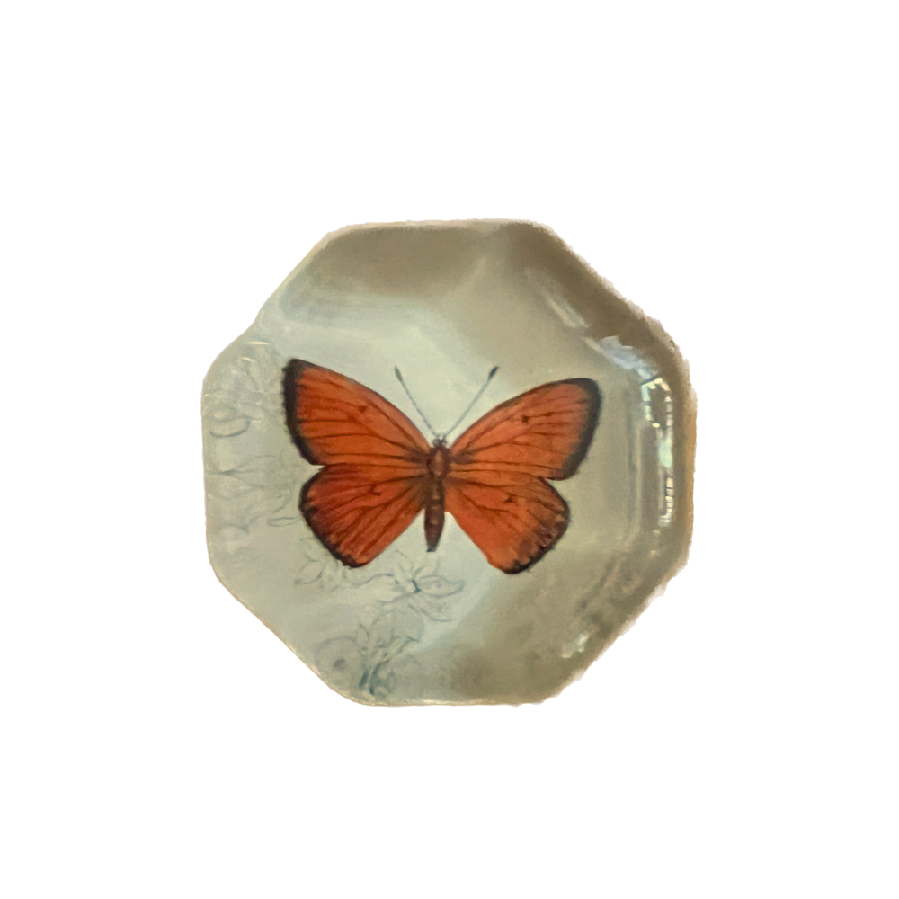 John Derian Orange Butterfly Octagonal Paperweight