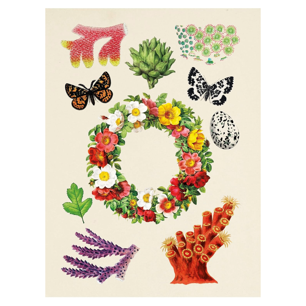 Antiquarian Sticker Book: 1000+ Victorian Stickers