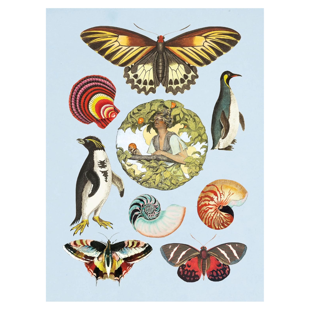 Antiquarian Sticker Book: 1000+ Victorian Stickers