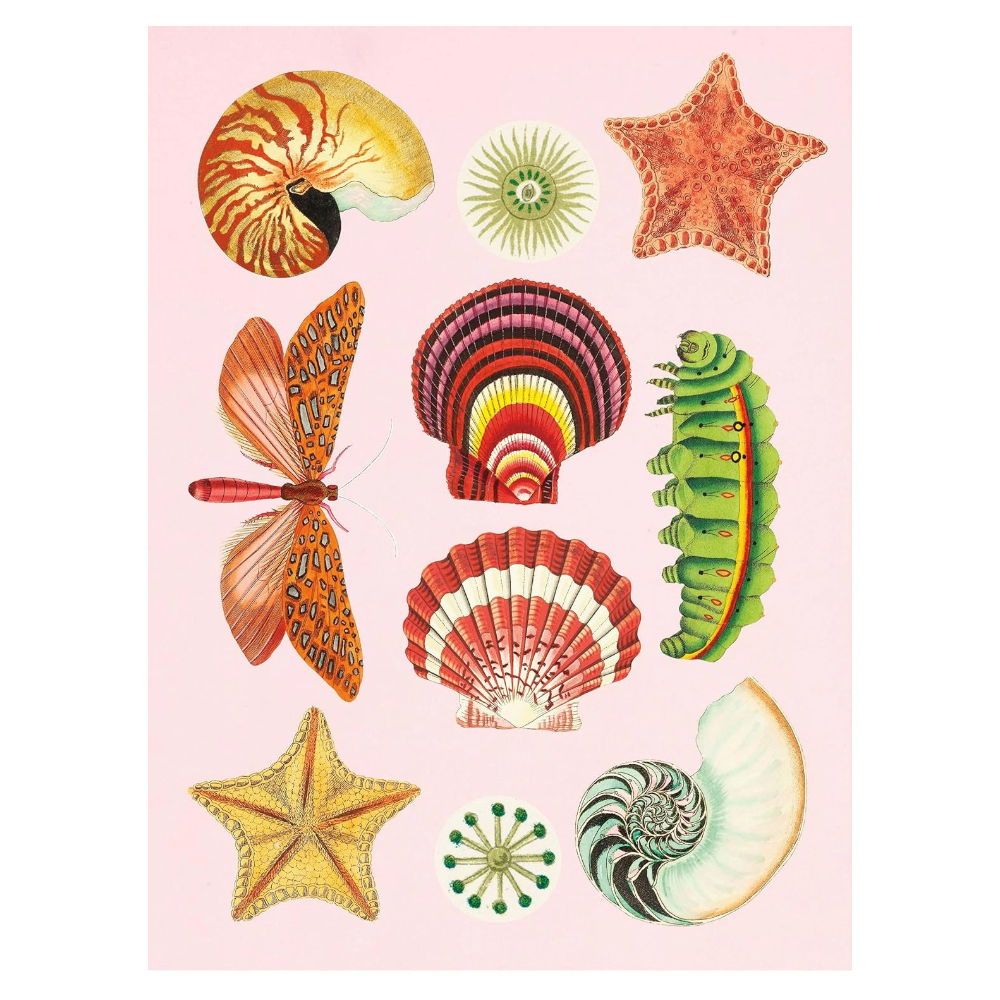 Antiquarian Sticker Book: 1000+ Victorian Stickers