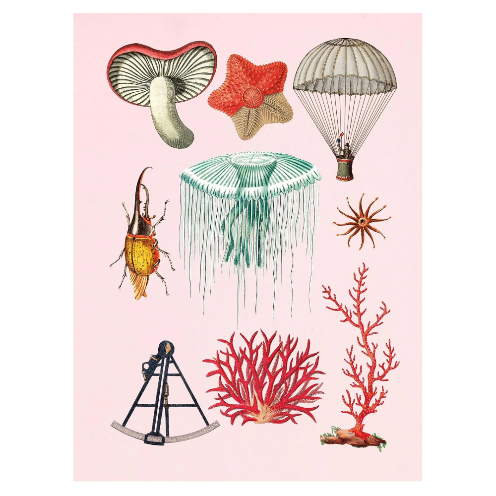 Antiquarian Sticker Book: 1000+ Victorian Stickers