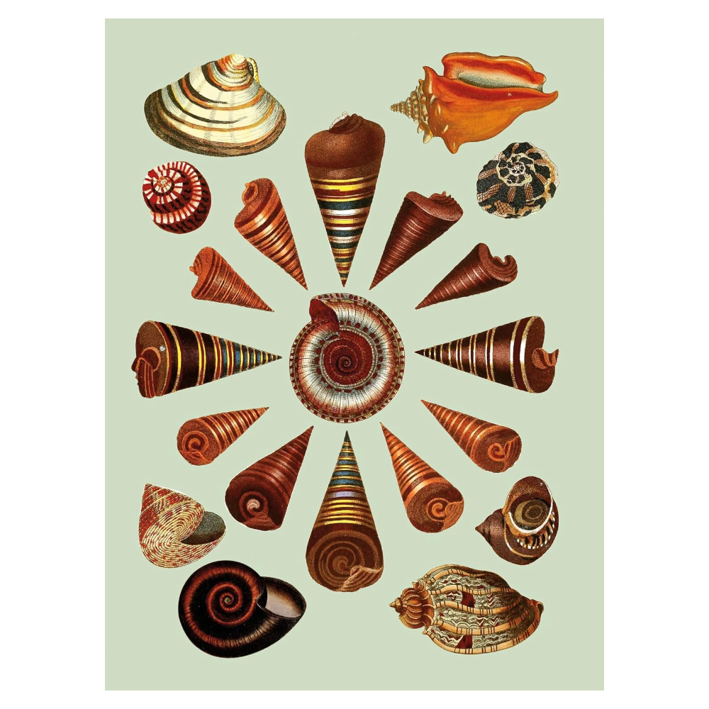 Antiquarian Sticker Book: 1000+ Victorian Stickers