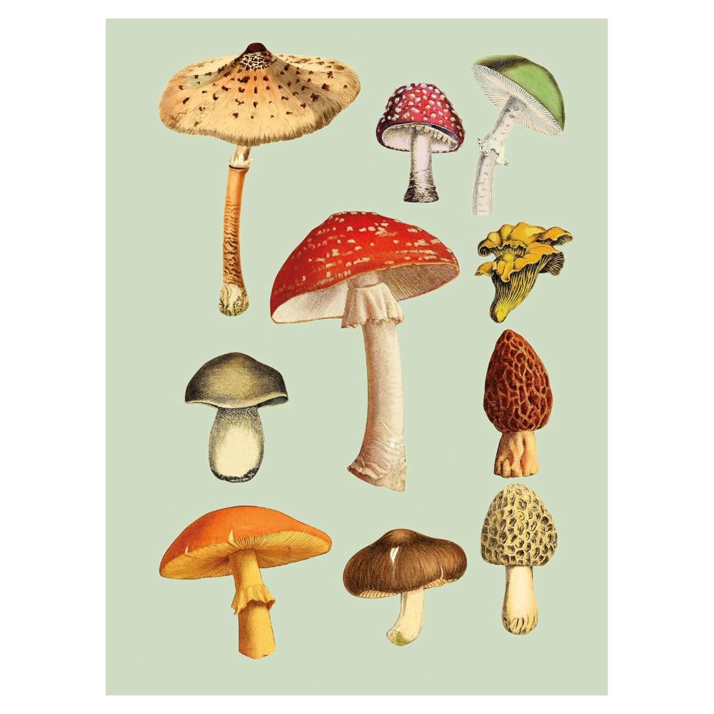 Antiquarian Sticker Book: 1000+ Victorian Stickers