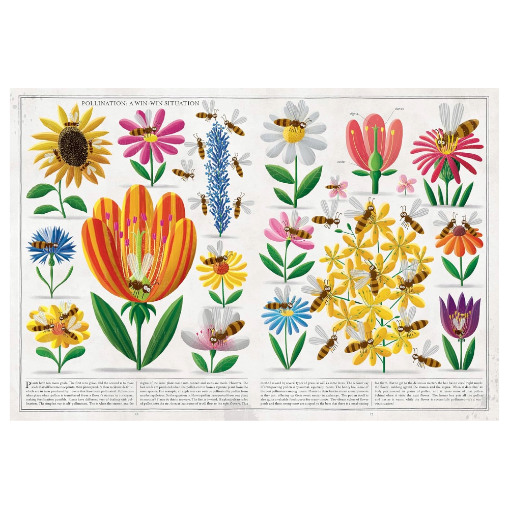 Bees: A Honeyed History by Piotr Socha