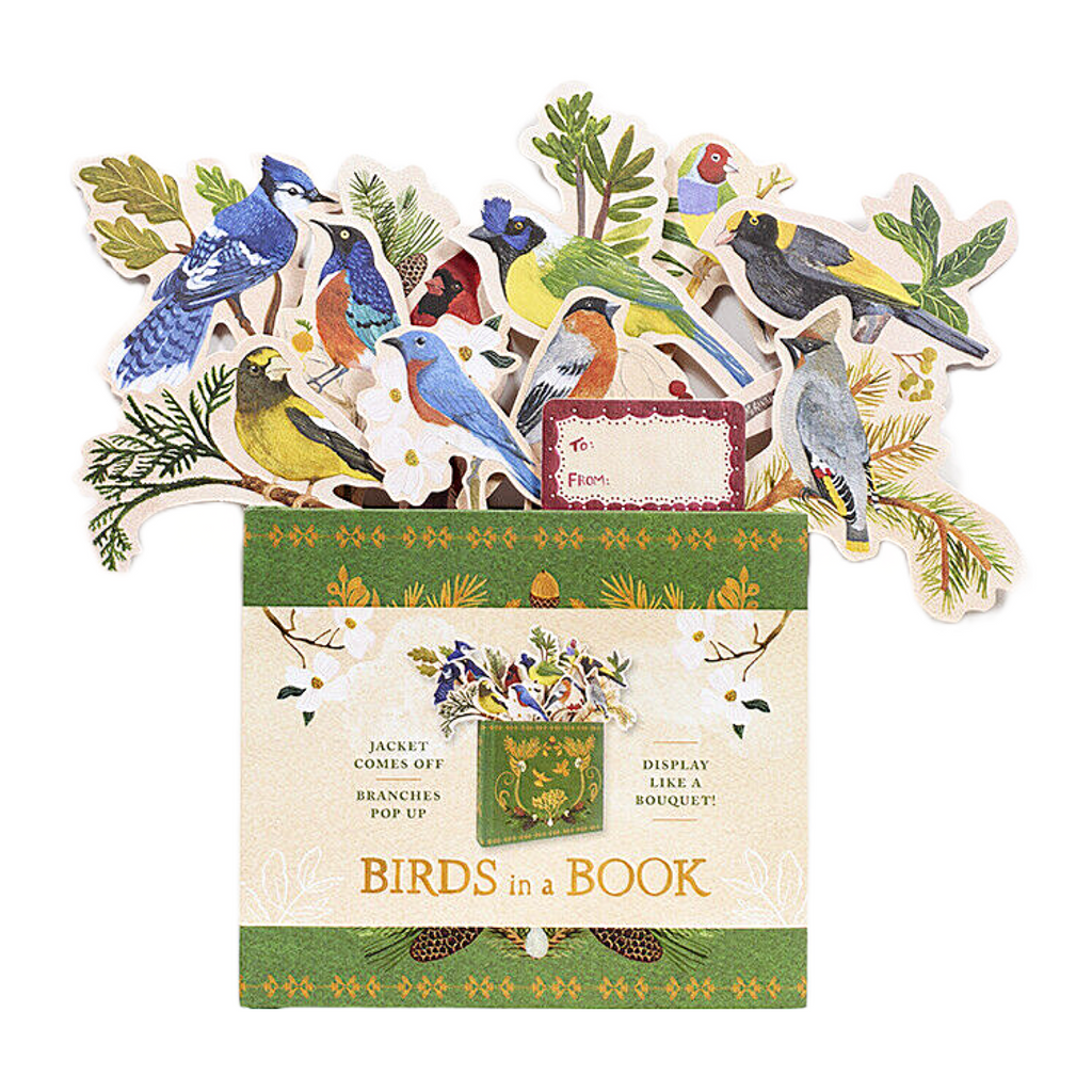 Birds in A Book, Display Like a Bouquet! by Lesley Earle