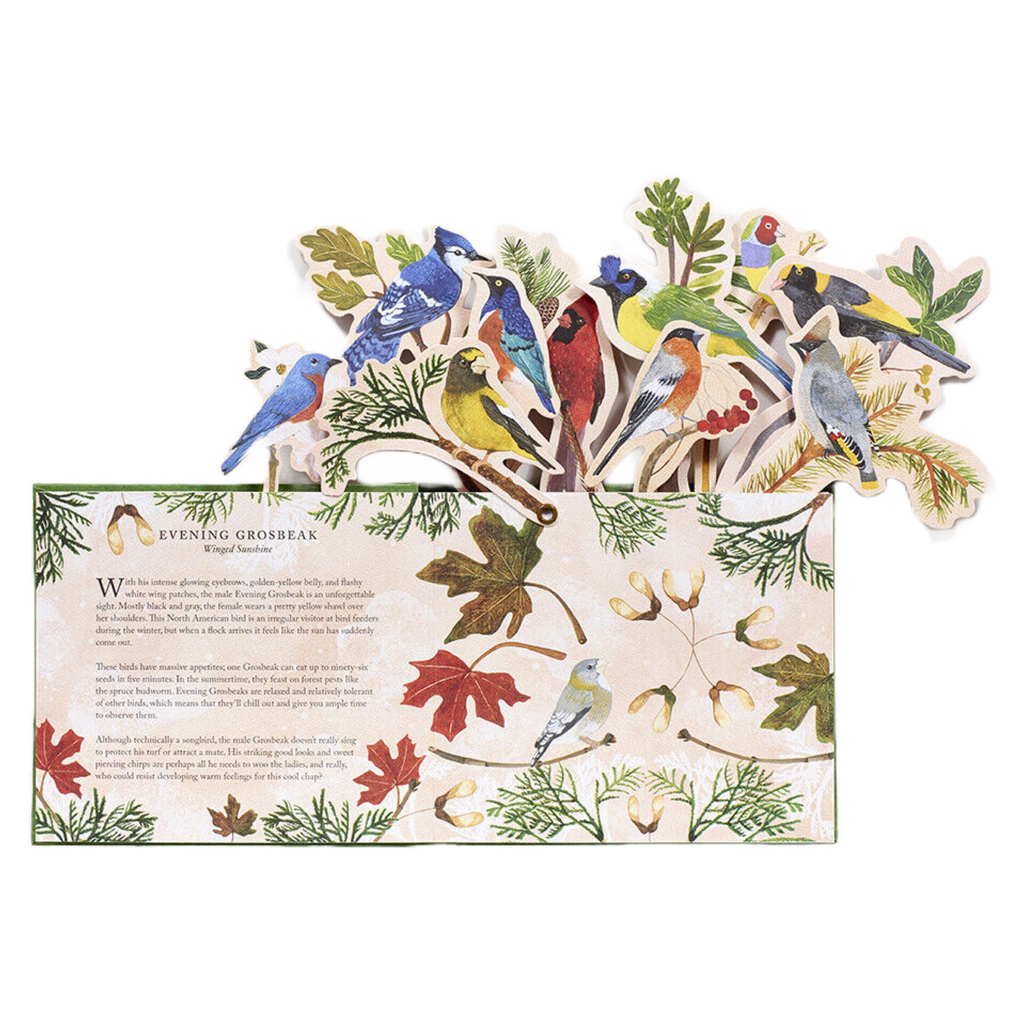 Birds in A Book, Display Like a Bouquet! by Lesley Earle