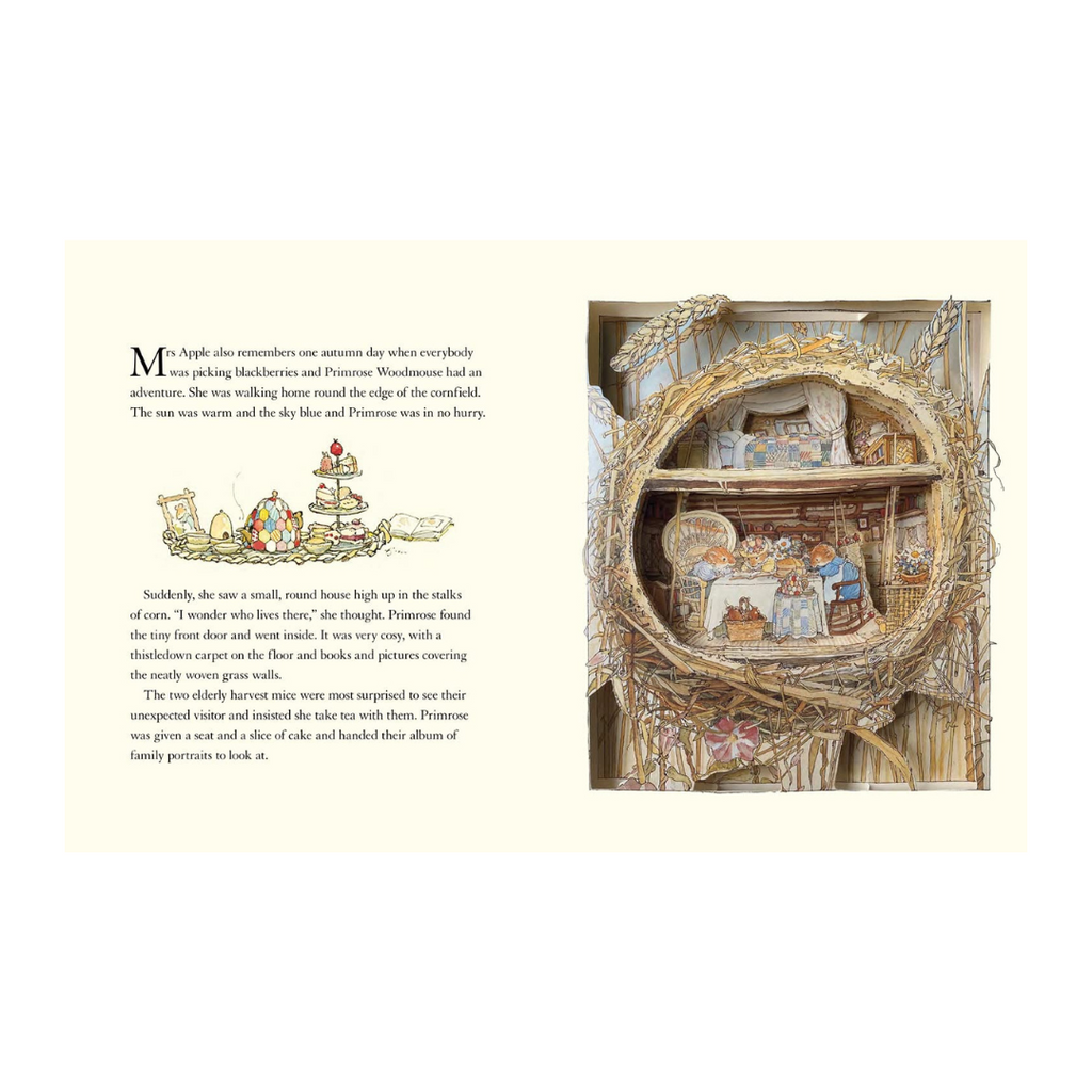 The Brambly Hedge Pop-Up Book