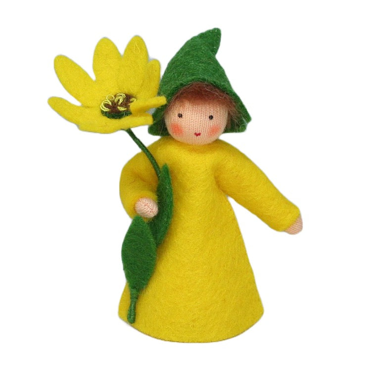 Cape Marigold Fairy Holding Flower · Fair