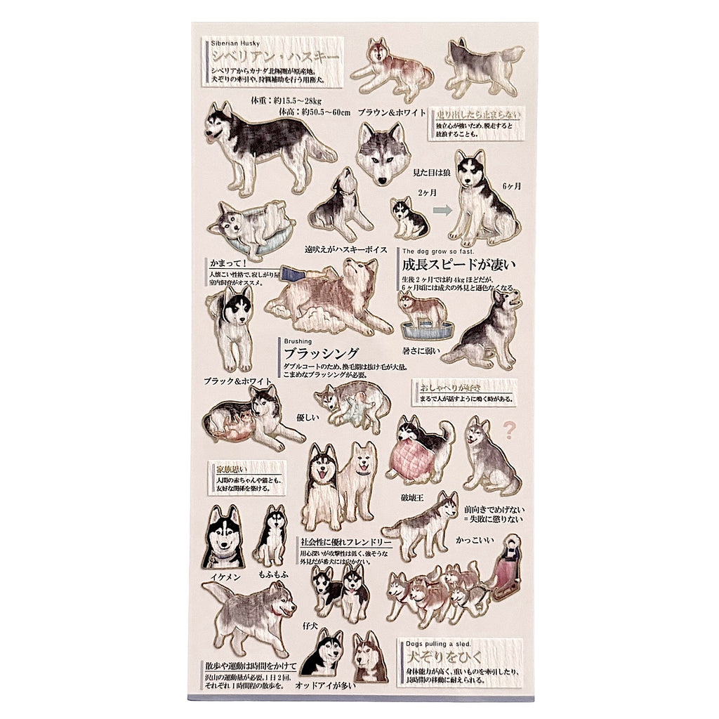 Goldfoil Sticker Sheet · Siberian Husky