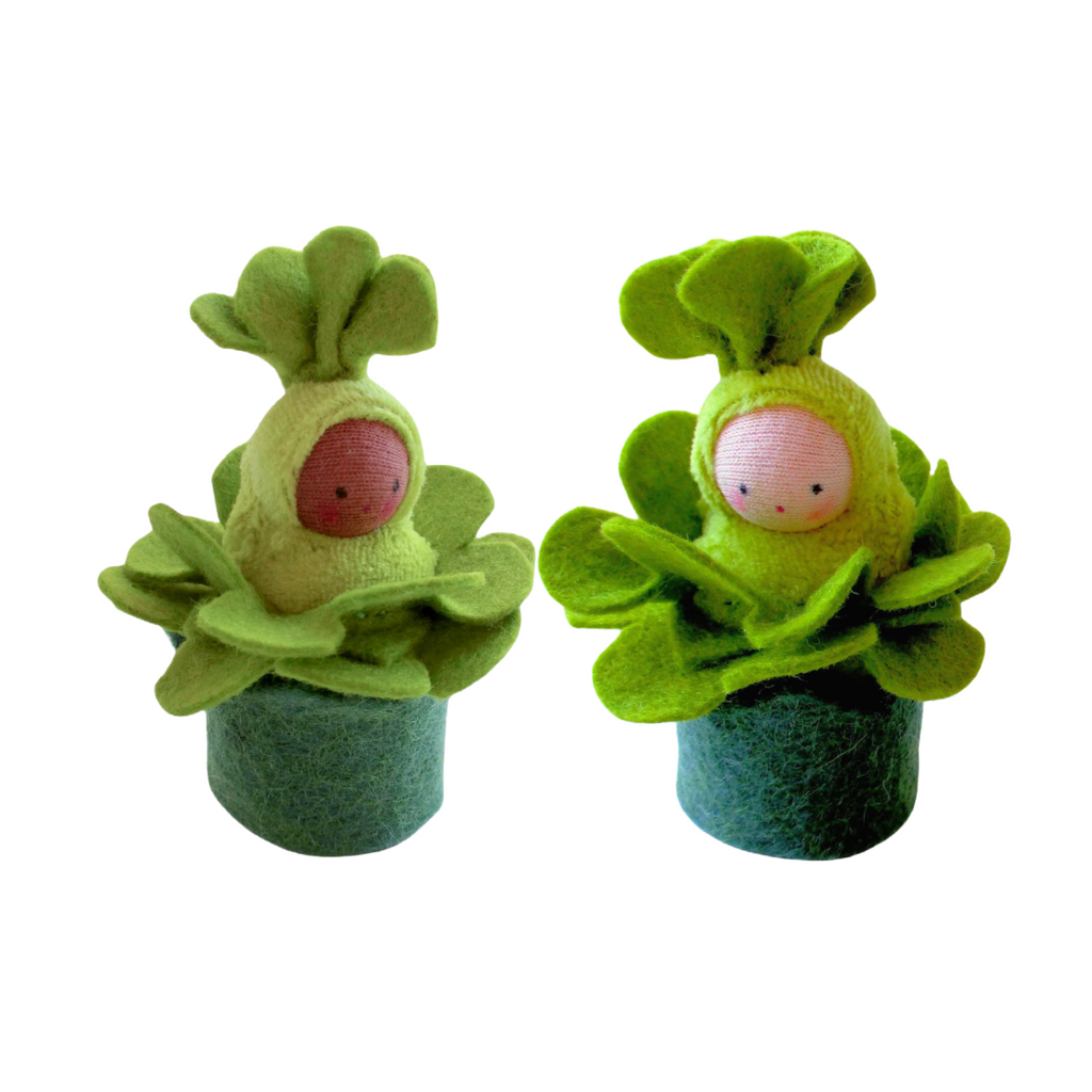Fairyshadow Lettuce Baby in Grass Cozy