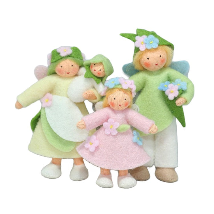 Flower Fairy Family Members · Fair
