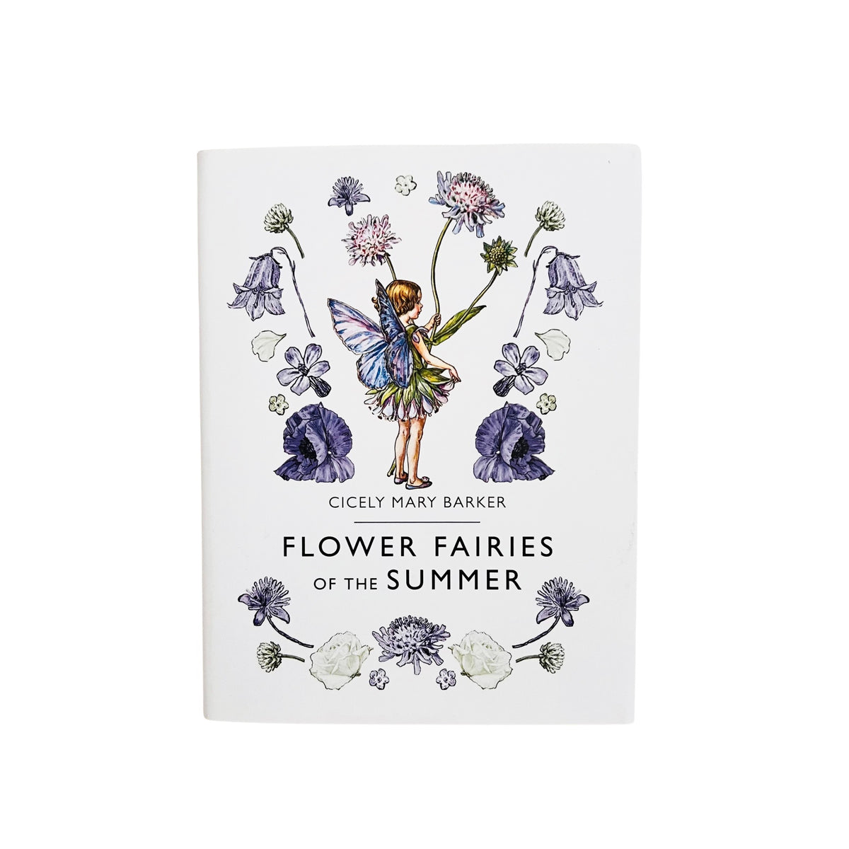 Flower Fairies of Summer by Cicely Mary Barker | Waldorf Picture