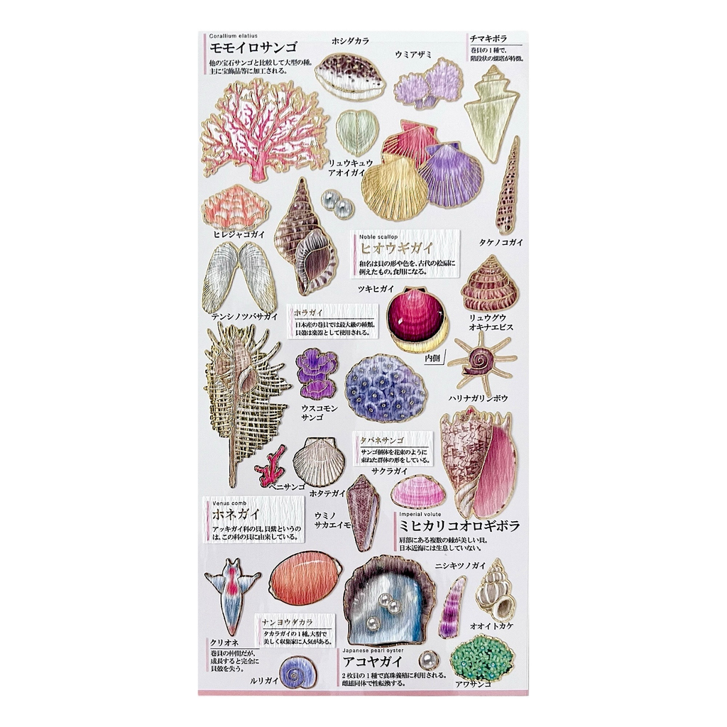 Goldfoil Sticker Sheet · Seashells
