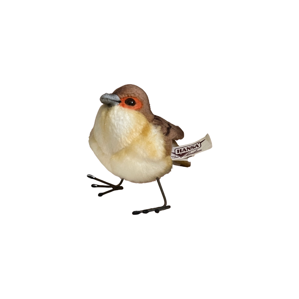 Hansa Female Wren