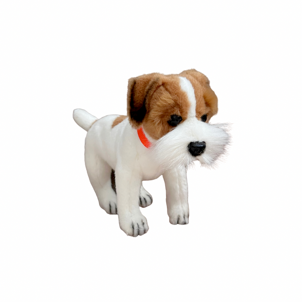 Hansa Jack Russell Terrier