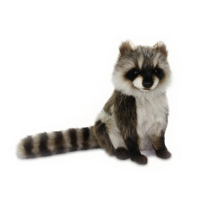 Hansa Raccoon