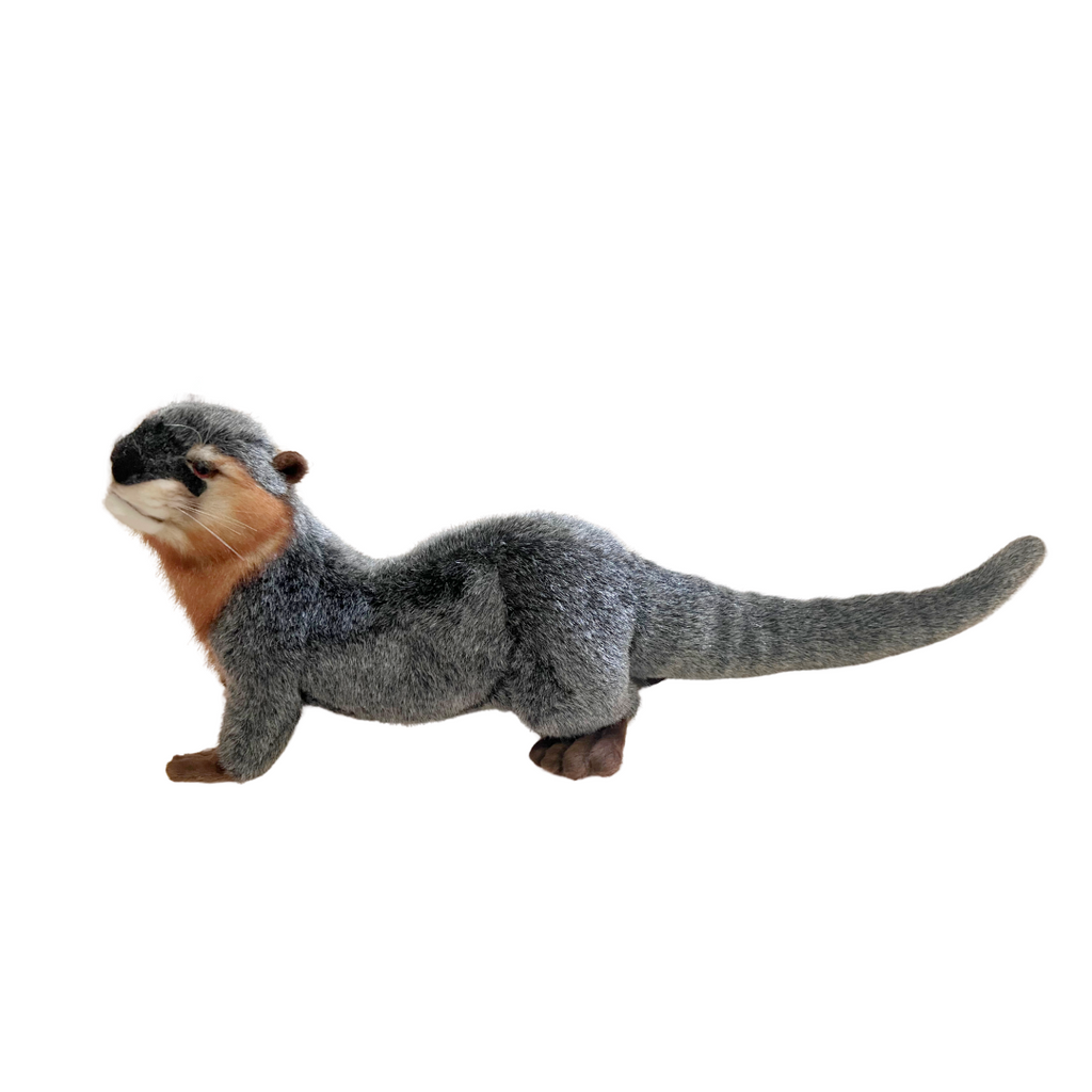 Hansa River Otter