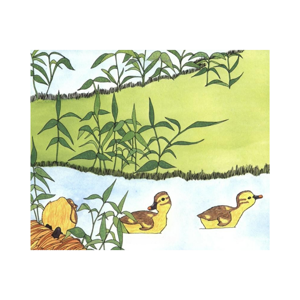 Have You Seen My Duckling? by Nancy Tafuri