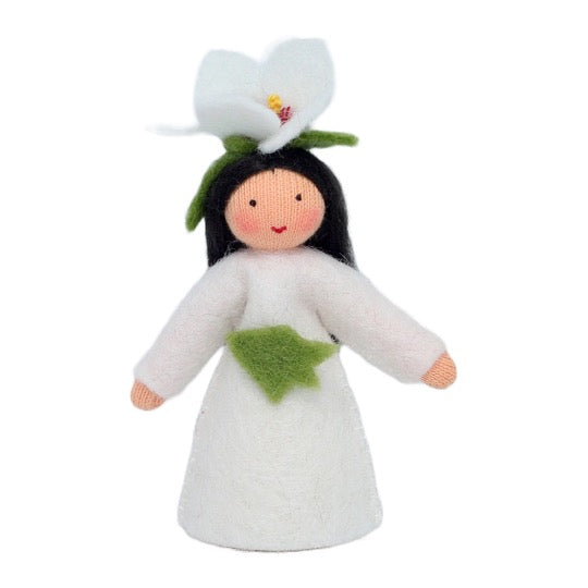 Hibiscus Fairy · Fair