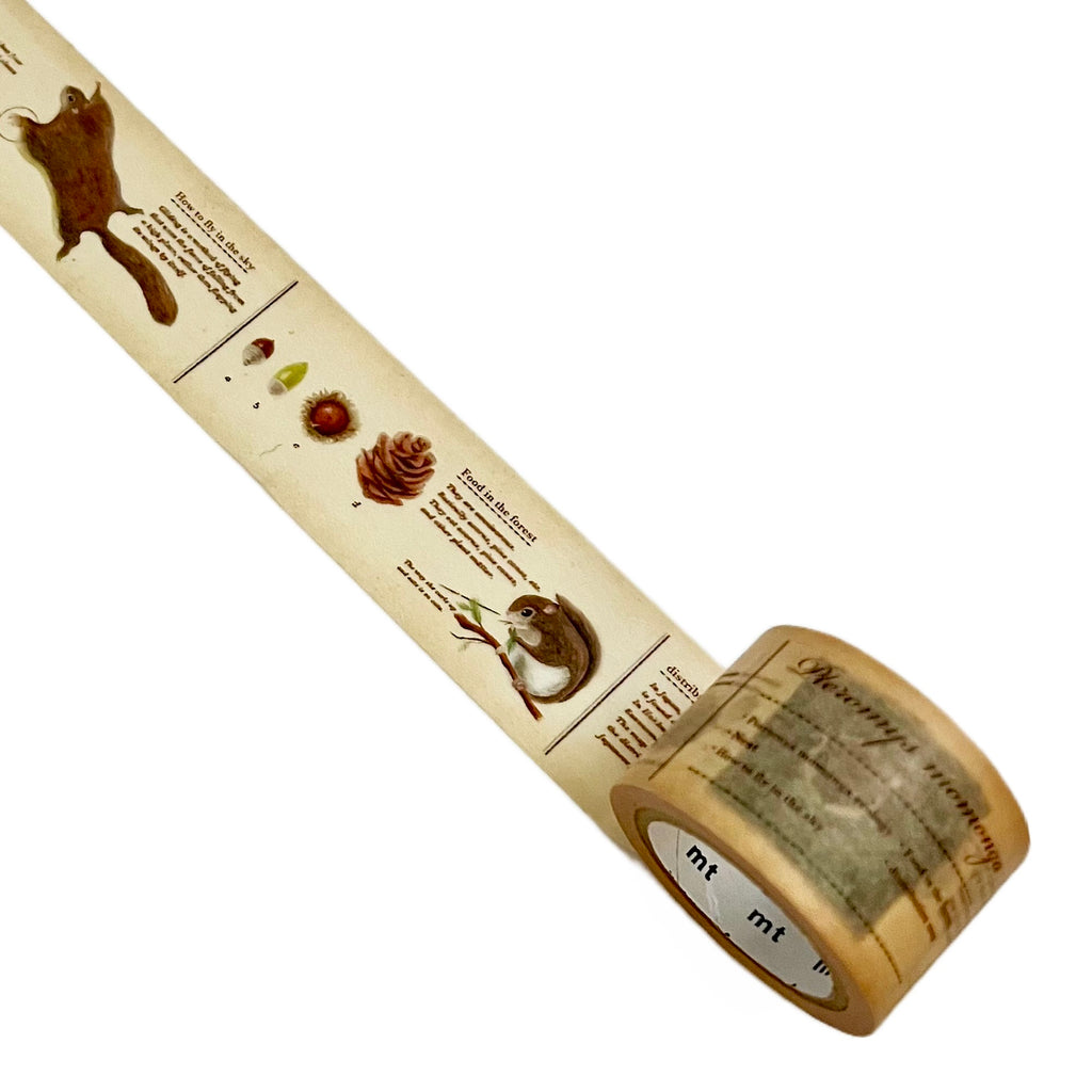 Japanese Masking Tape · Encyclopedia of Flying Squirrels