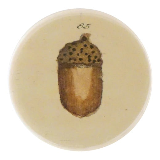 John Derian Hand Mirror · Acorn