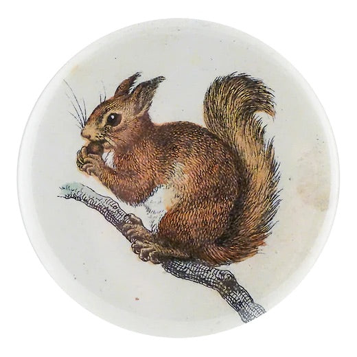 John Derian Hand Mirror · Little Baby Squirrel