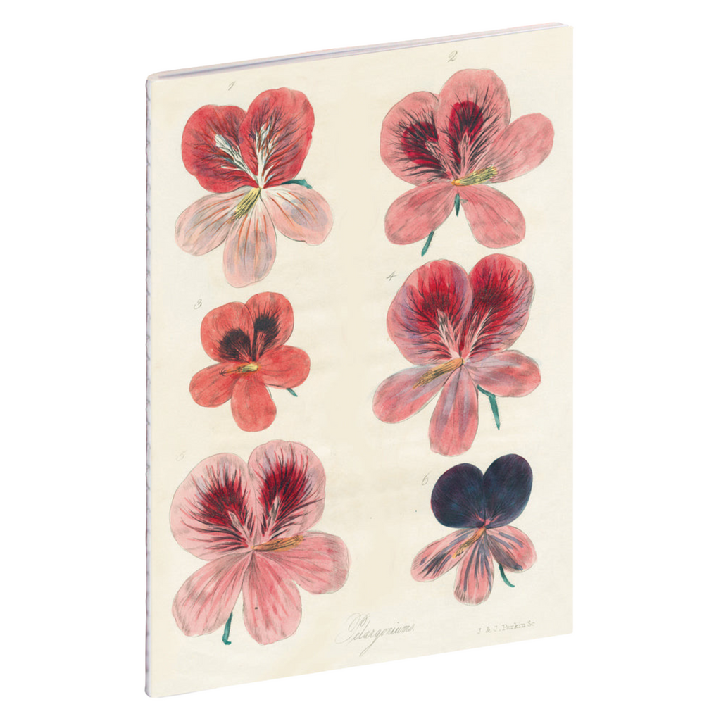 John Derian Garden Notebook Set