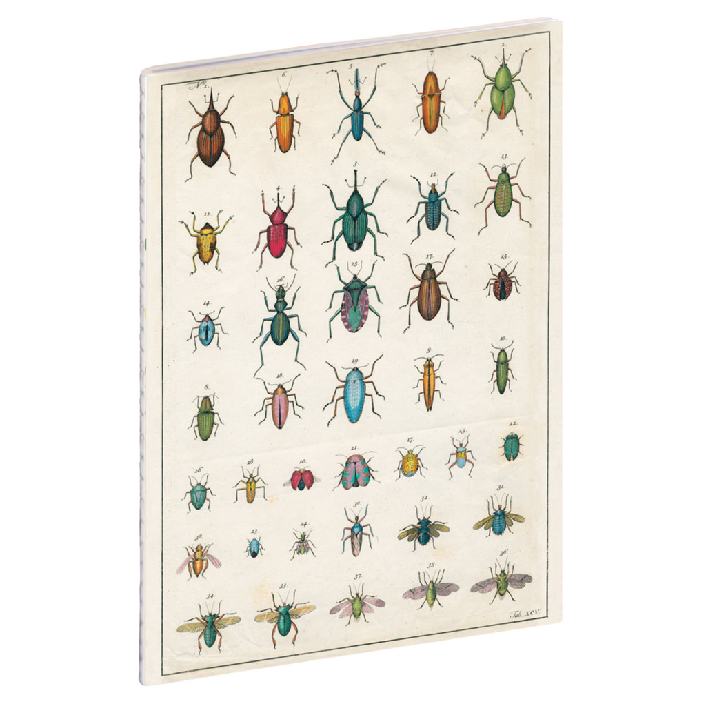 John Derian Garden Notebook Set