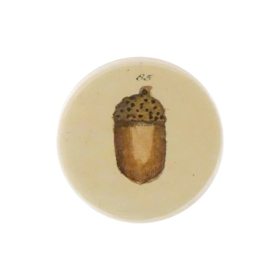 John Derian Hand Mirror · Acorn