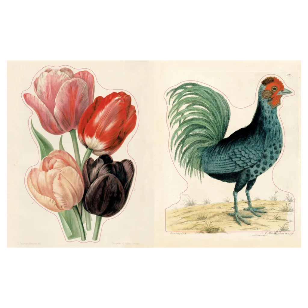 The John Derian Sticker Book II