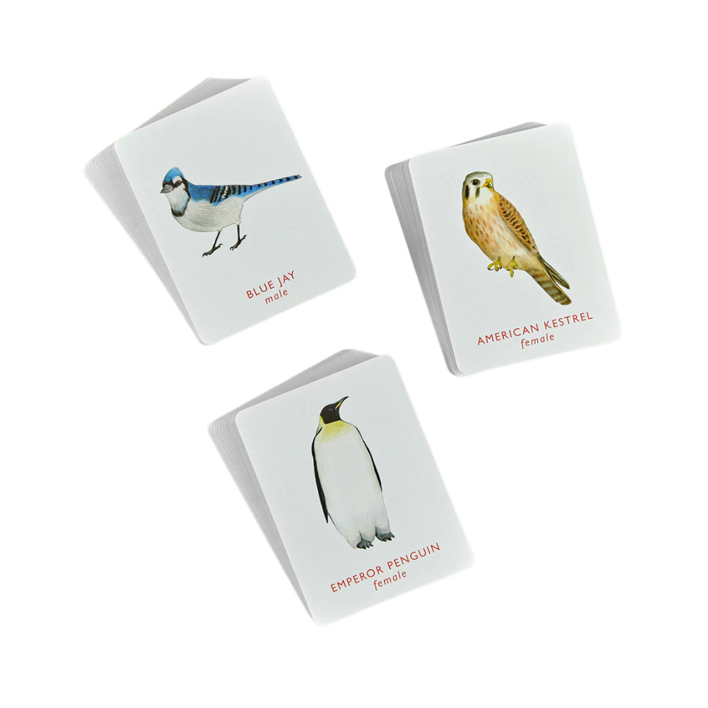 Match a Pair of Birds: A Memory Game