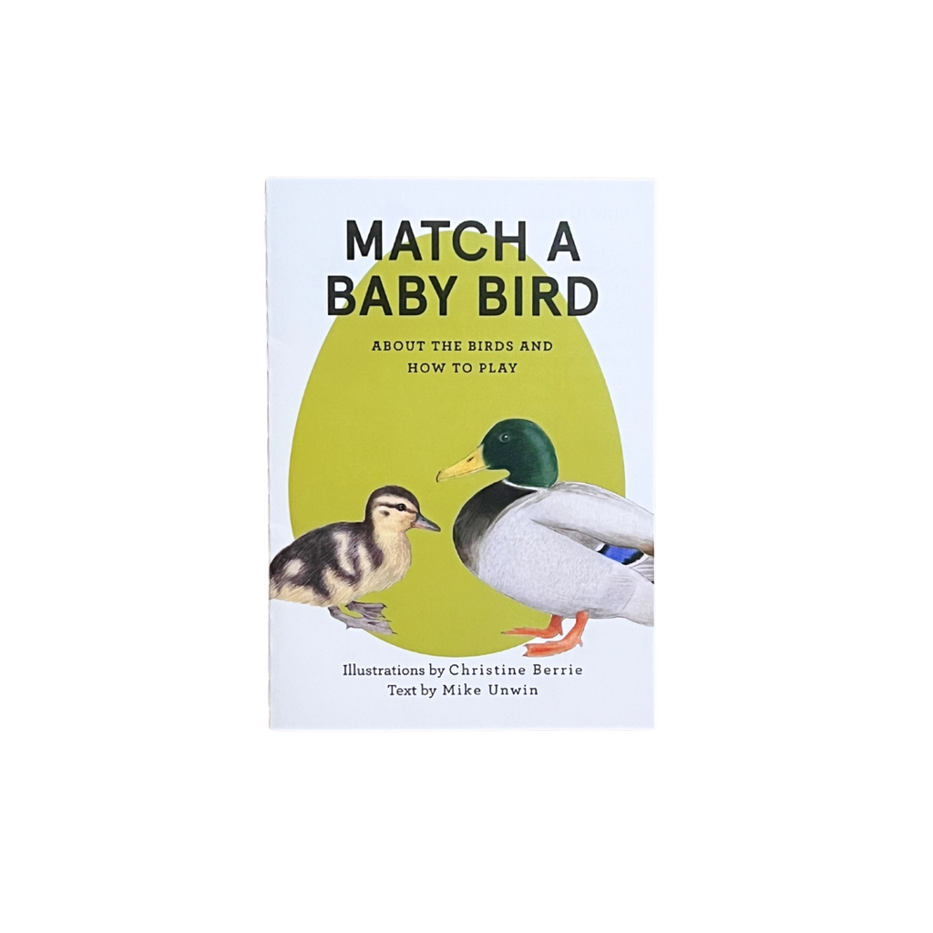 Match a Baby Bird Memory Game