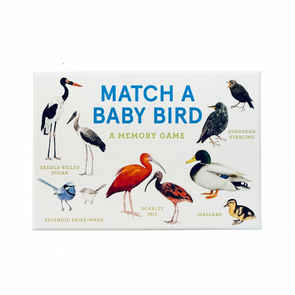 Match a Baby Bird Memory Game