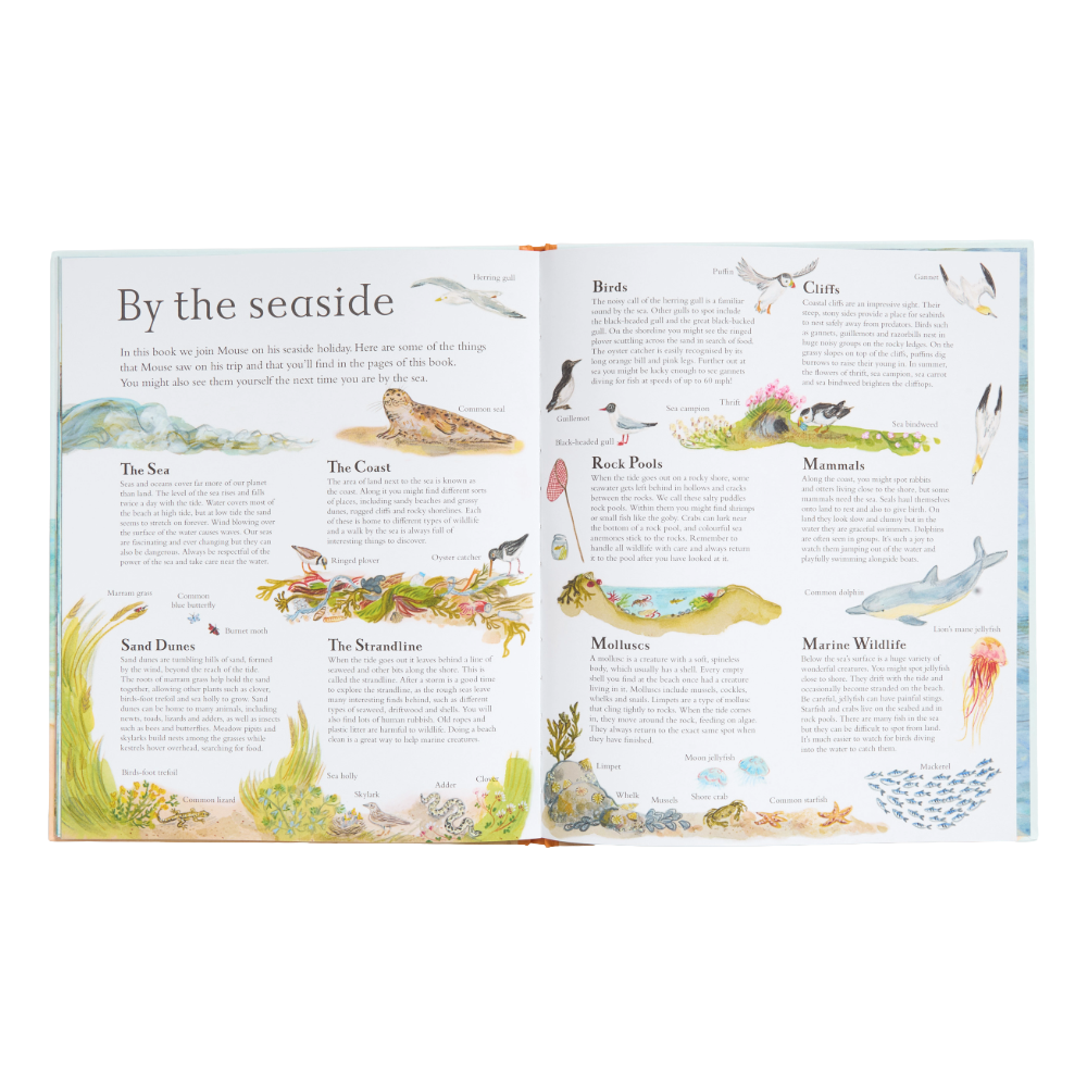 Mouse by the Sea · A Vacation in Nature by Alice Melvin