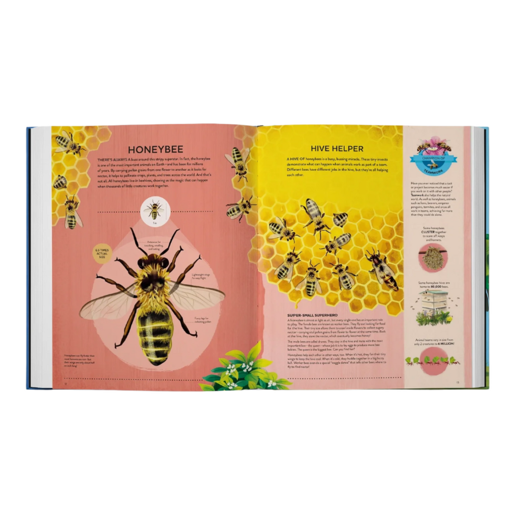 Nature's Tiny Champions: the Big Book of Little Creatures by Ben Lerwill