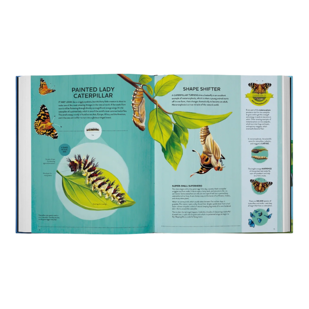 Nature's Tiny Champions: the Big Book of Little Creatures by Ben Lerwill