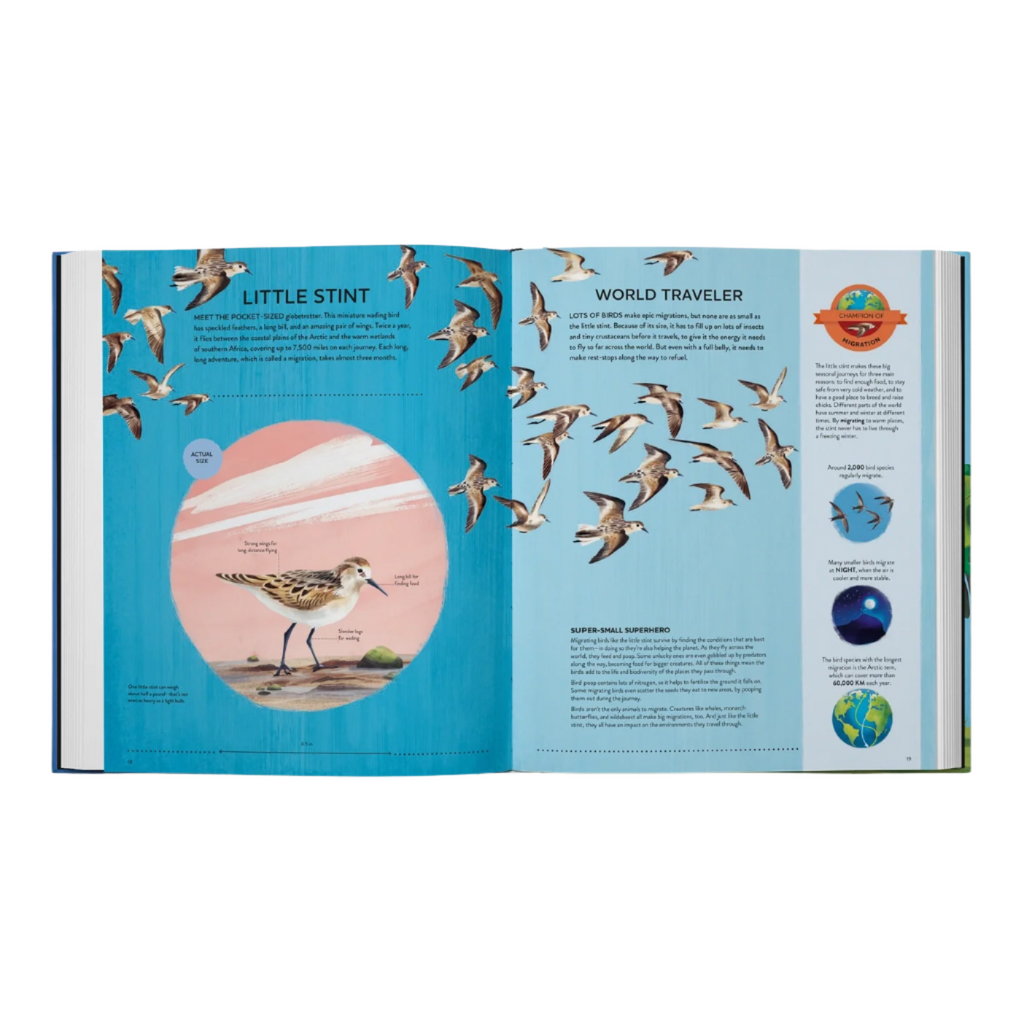 Nature's Tiny Champions: the Big Book of Little Creatures by Ben Lerwill
