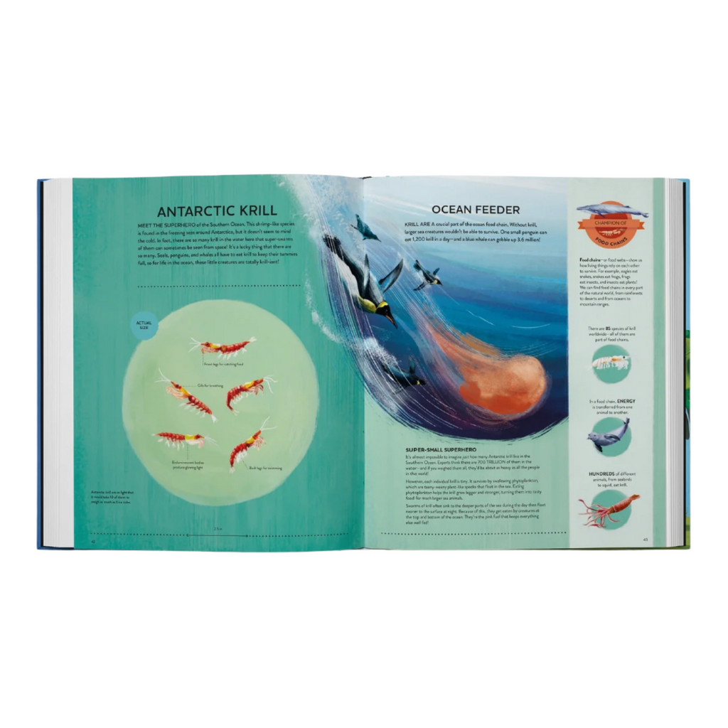 Nature's Tiny Champions: the Big Book of Little Creatures by Ben Lerwill