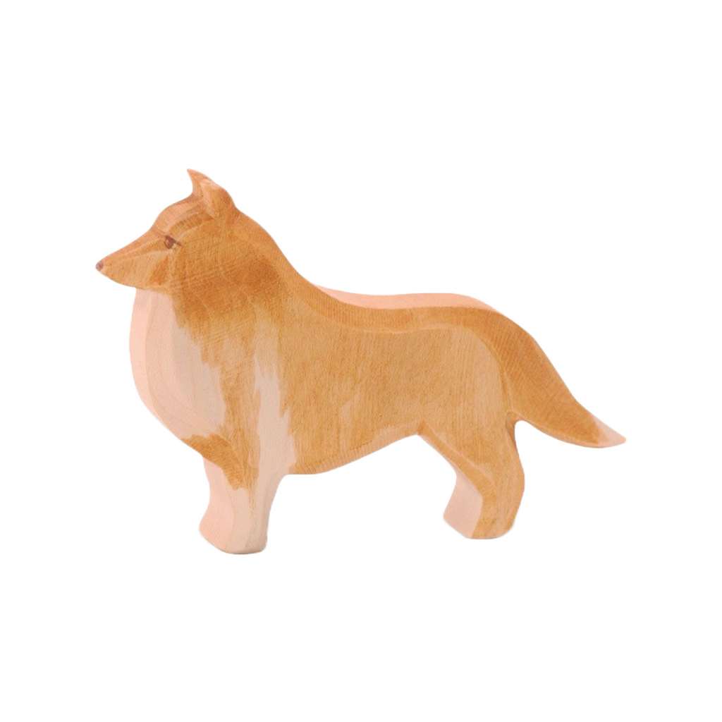 Ostheimer Collie