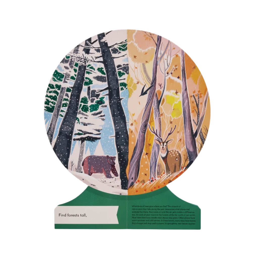 Our World: A First Book of Geography by Sue Lowell and Lisk Feng