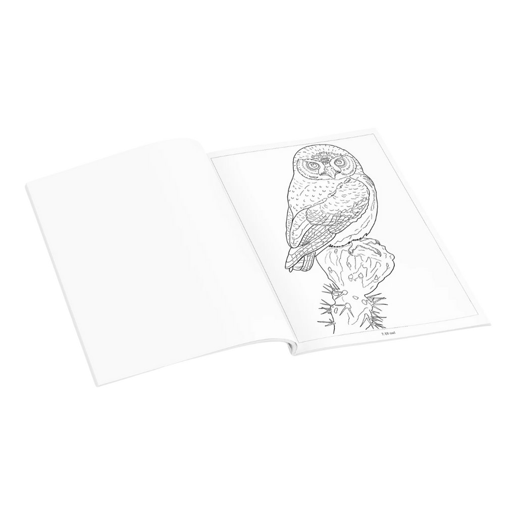 Owls Coloring Book
