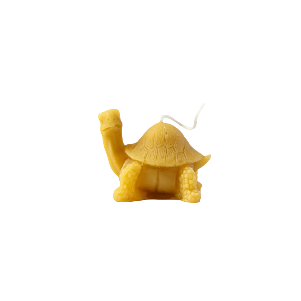 Pine Barrens Post Turtle Beeswax Candle