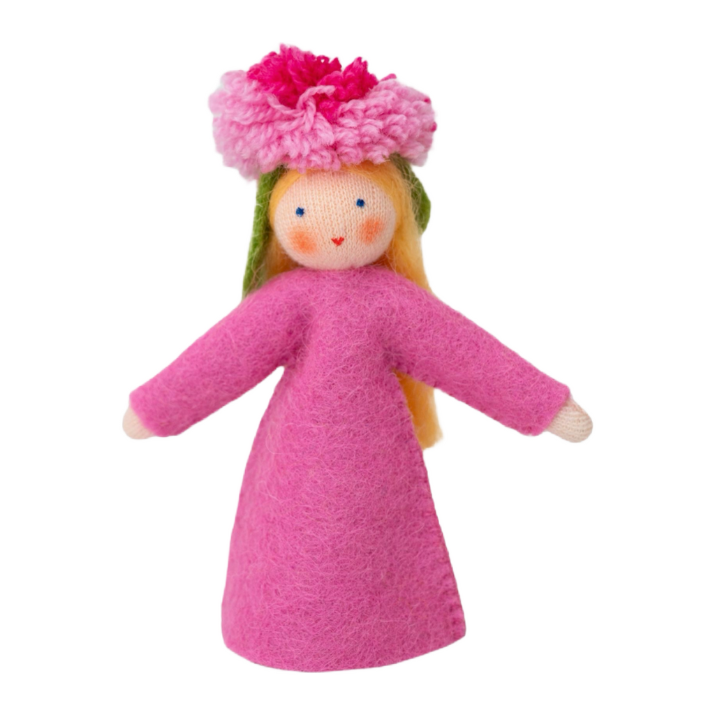 Pink English Daisy Flower Fairy · White