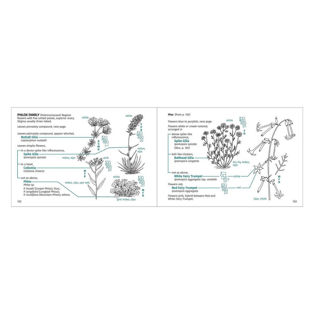 Rocky Mountain Flower Finder · Identifying Wildflowers Below The Rocky Mountain Treeline
