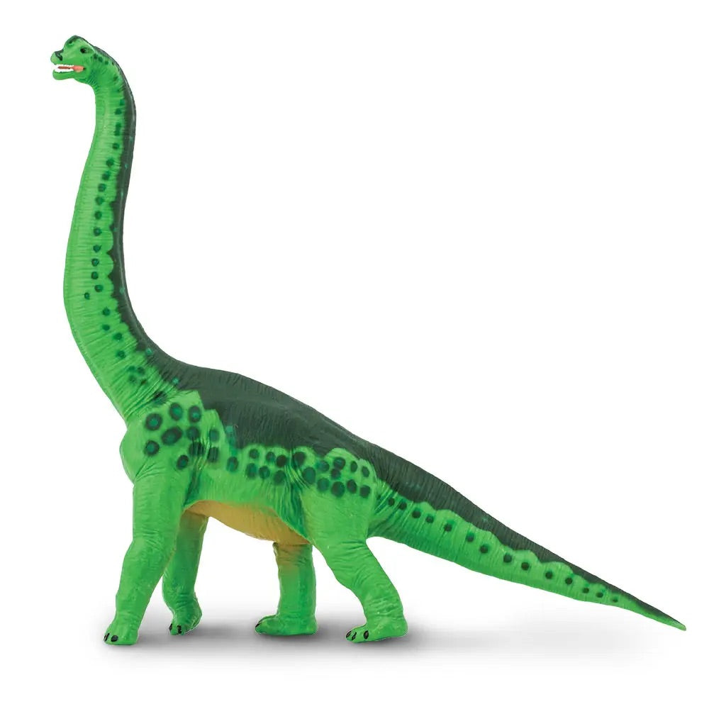 Safari Brachiosaurus Dinosaur