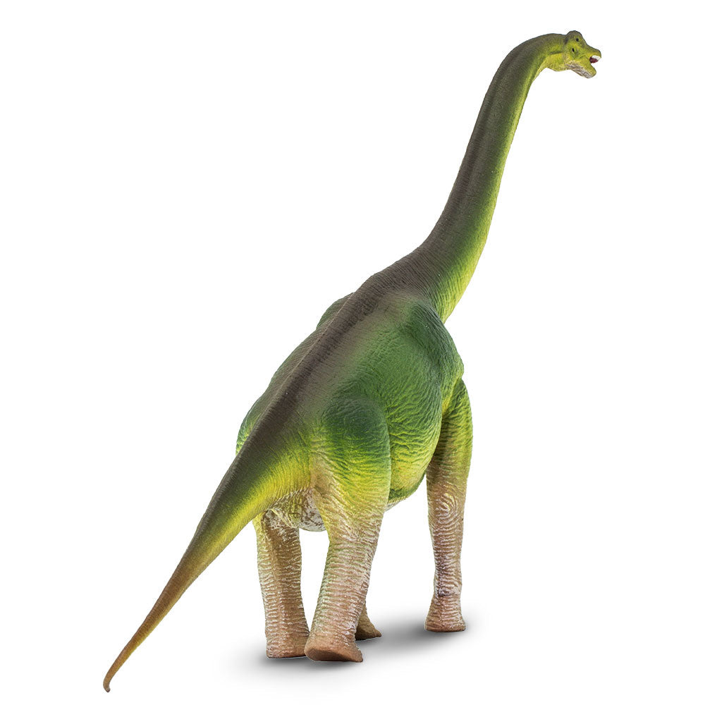 Safari Large Brachiosaurus