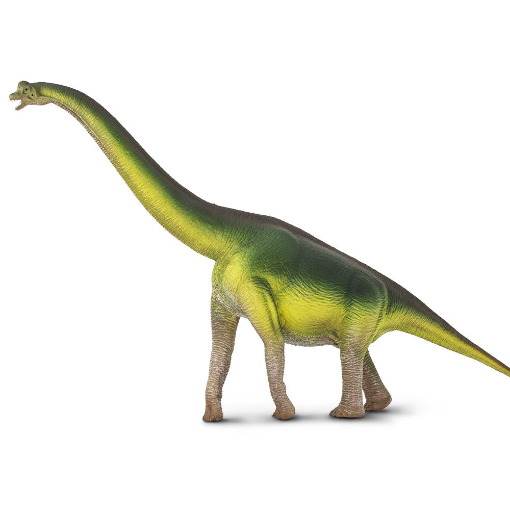 Safari Large Brachiosaurus